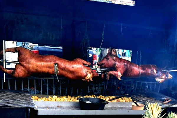 Cochon rôtis